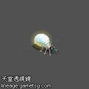 白蟻.jpg