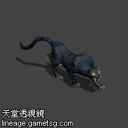 黑豹.jpg